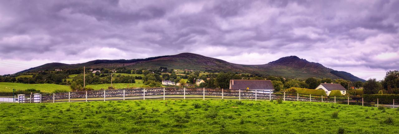 Bed and Breakfast Walkers Nest Carlingford Exterior foto